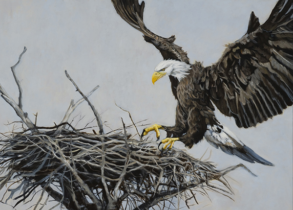 Victor Blakey - Eagle's Nest