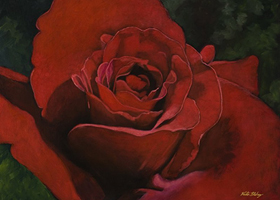 Victor Blakey -- Crimson Rose