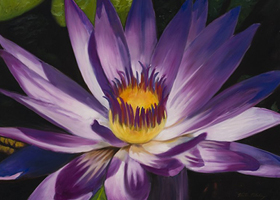 Victor Blakey -- Fire Water Lily