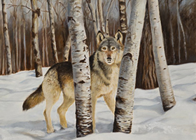 Victor Blakey -- Vigilant Wolf